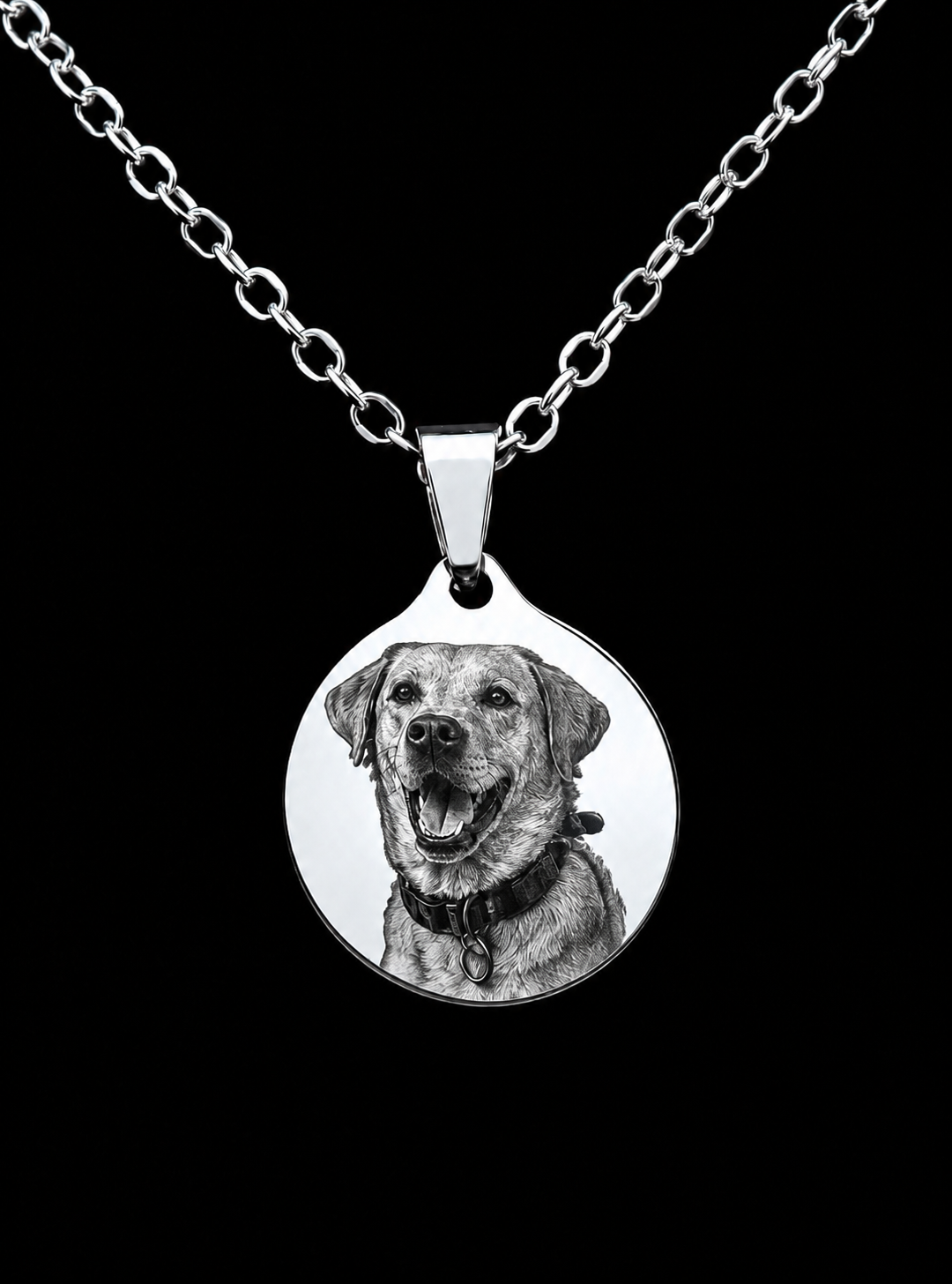 "Mi mejor amigo" Collar personalizado de mascota