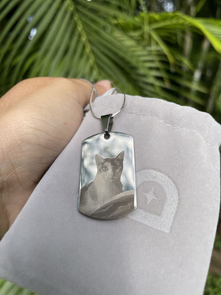 "Mi mejor amigo" Collar personalizado de mascota